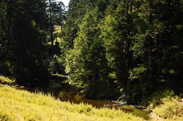 武法奈尾山天巒池872489