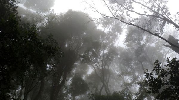 那結山(那是山，1520M-328306