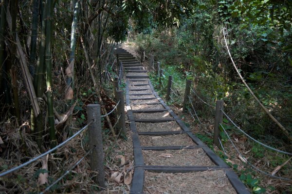聚興山 新田登山步道2670673