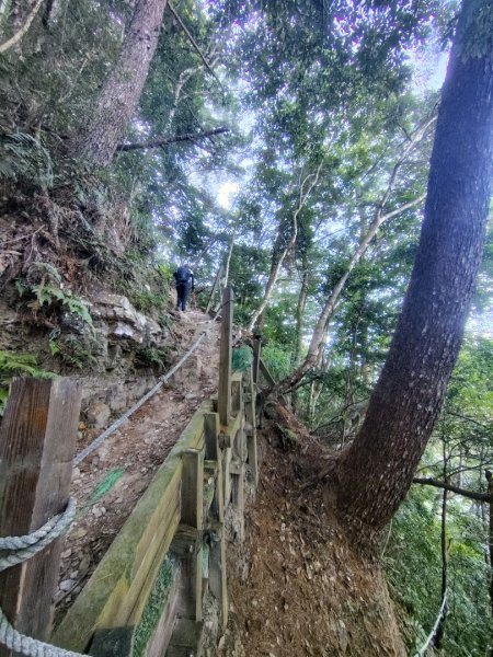 唐麻丹山 蝴蝶谷2918940