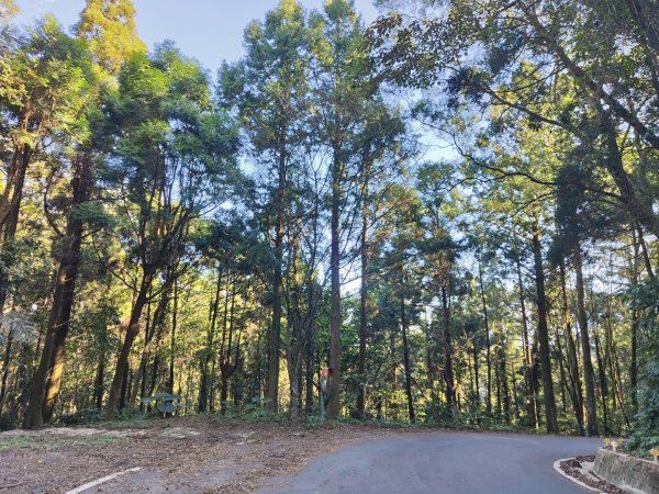 2024.11.29 騎龍山+騎龍古道2990390