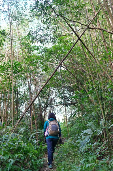 嘎色鬧登那結山2392520