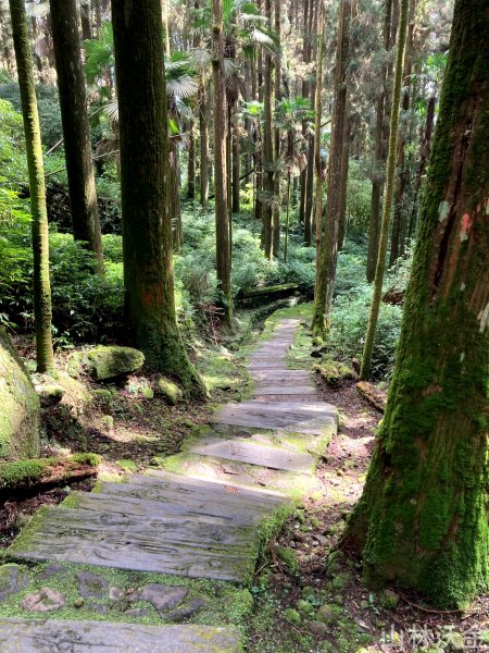 2023-10-29 頂湖直上大凍山2330923