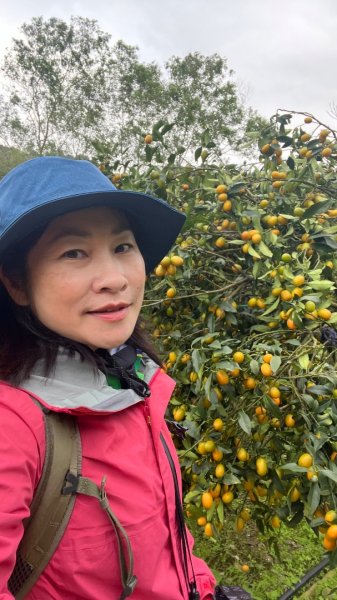 宜蘭_望龍三山&北后寺2984014