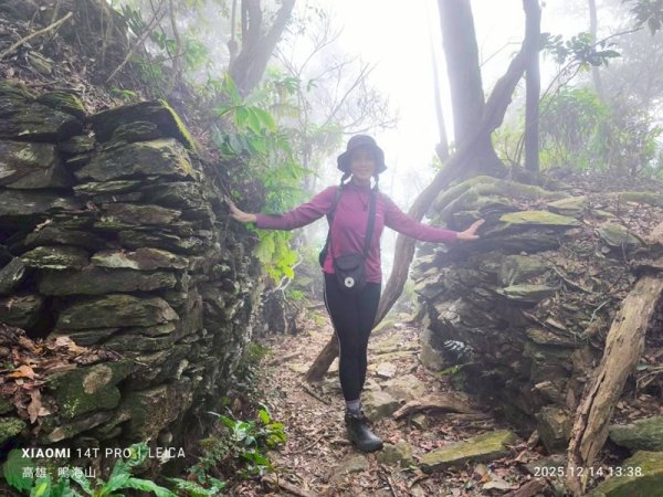 藤枝山&鳴海山2964427