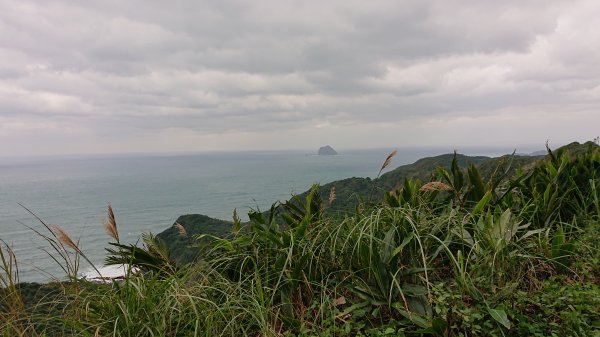 20221218基隆 海興森林步道(跟隨在地正妹的腳步)1956677