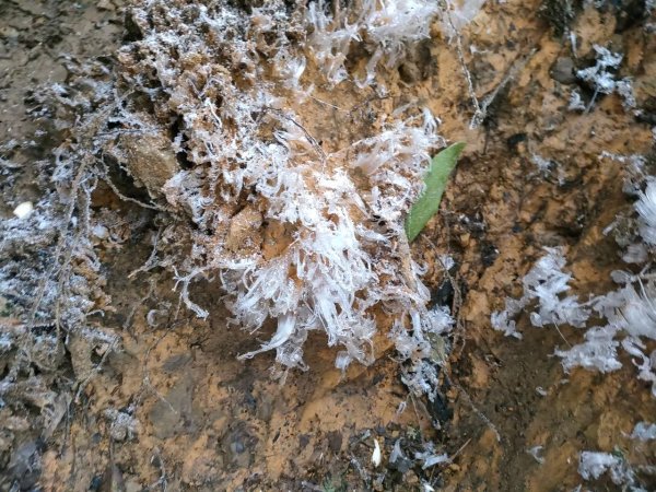 雪季北得拉曼2956414
