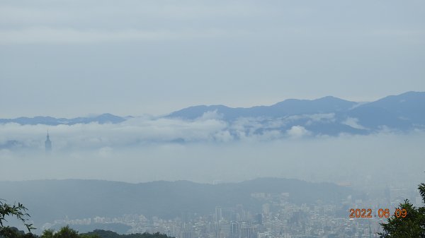 雲山水花鳥蝶 - 雲霧飄渺間的101大樓也是天空之城 ?1731680