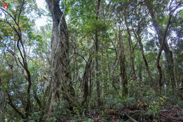 WL 愛旅行【塔曼山】593399