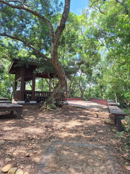 田中麒麟山森林步道202508172862024