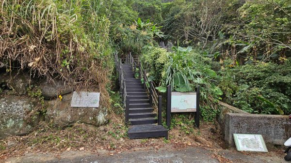 暗影山三進三出2366557