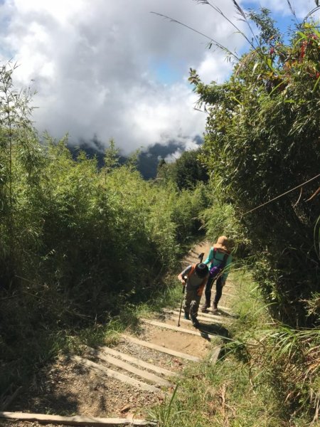 阿里山雙峰大塔山對高岳連走451442