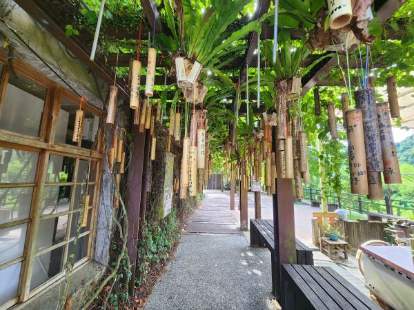 20250629 youbike 木柵 ~ 十分2907237