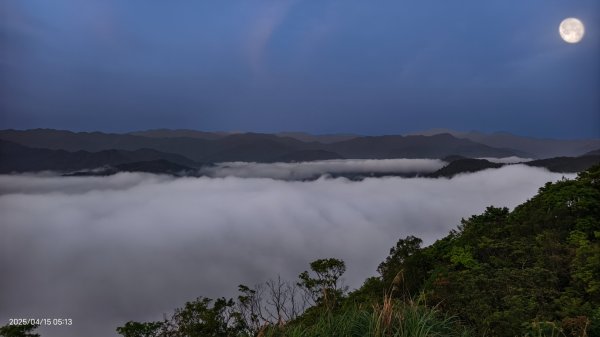 #鱷魚島雲海 #日出雲海 #火燒雲  #月光雲海 4/152761609