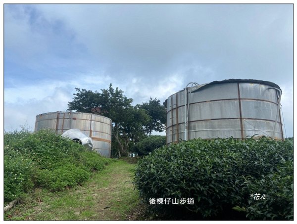 後棟仔山 O型路線2833448