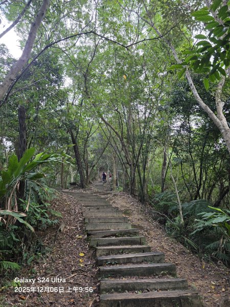 2025-12-06微笑山線：【二格山系】和美山螢火蟲段2956826