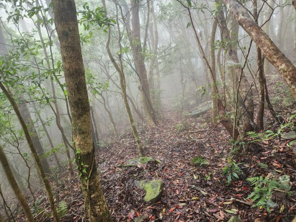 20230409那羅山、煤源山、大混山、道下山O型2141998