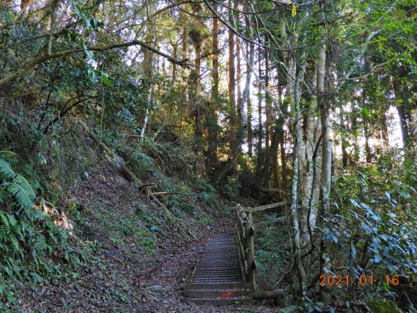 新竹 五峰 霞喀羅大山(石鹿大山)1238078