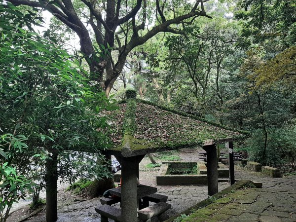 110 年春 登七星山1345731