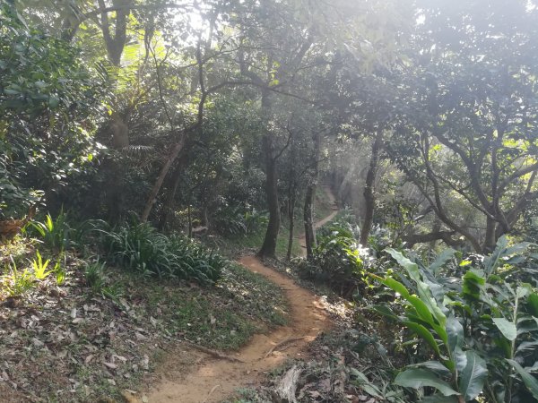 土城清水大尖山/朱財華紀念步道834000