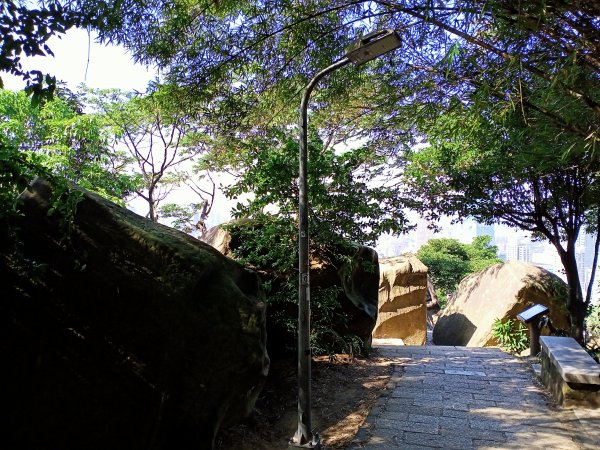 【南山神壽任務尋寶趣】國際化的象山親山步道1596480