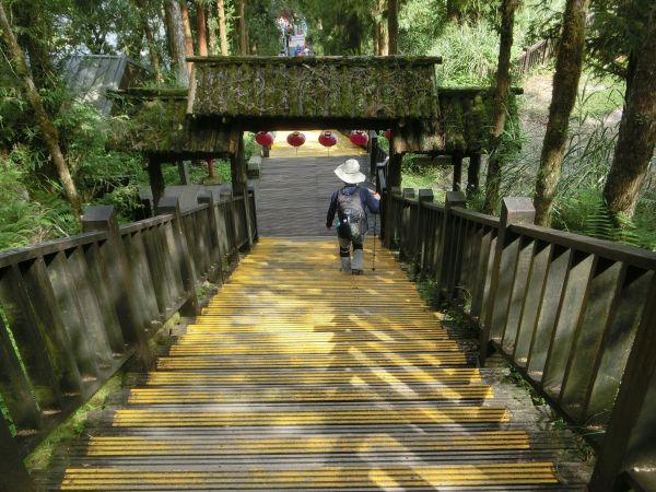 檜木原始林．鐵杉林自然步道380380