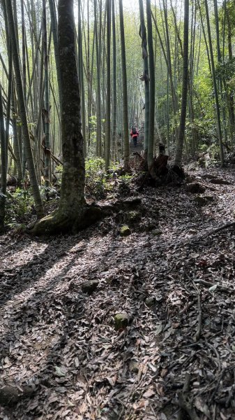 20250427小百岳石壁山2776709