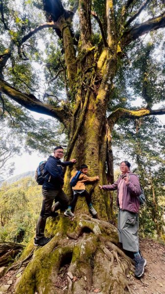 🌈3/21（六）頂湖上大凍山下奮起湖老街✨FB：熊熊趴爬走🌈3020187