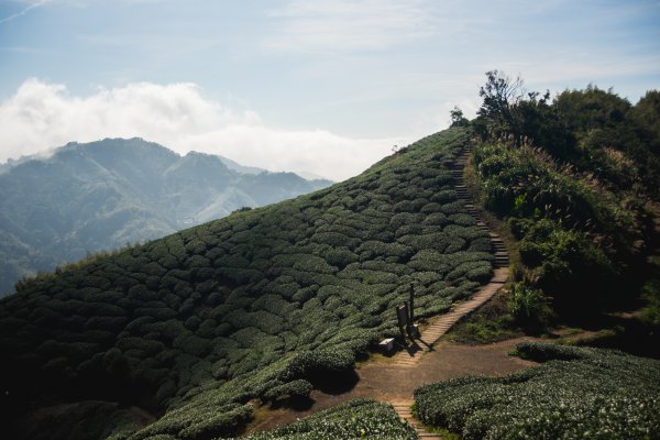 雲嘉七連峰 2025年12月2968926