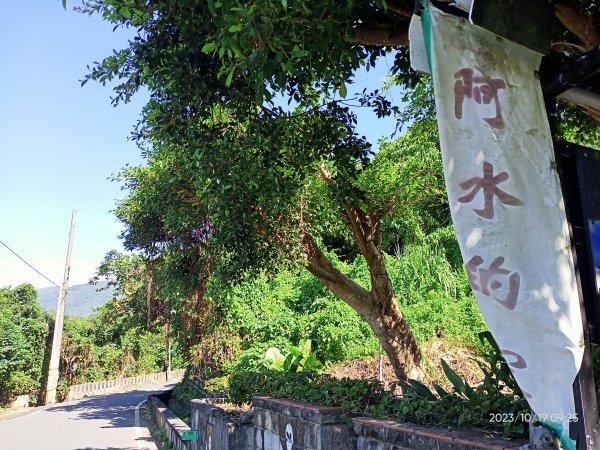 半嶺步道、松溪瀑布、橫嶺古道、湖山綠地【發現陽明山、走路趣尋寶、健康大穀東】2321344