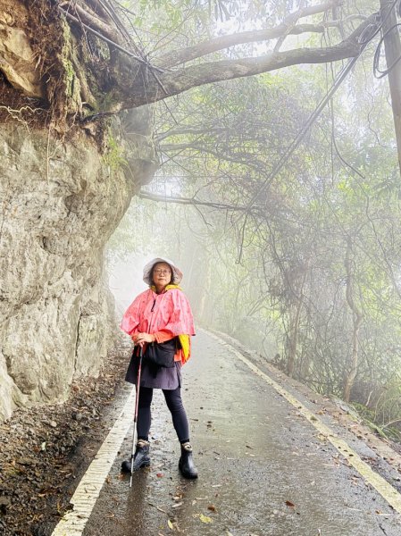 獅山 六寮古道 獅頭獅尾走一圈2992431