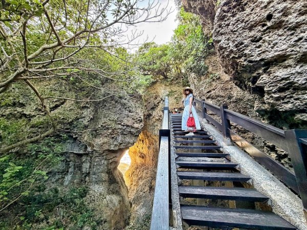 墾丁 國家森林遊樂區 社頂自然公園 鵝鑾鼻公園 船帆石 出火3119175