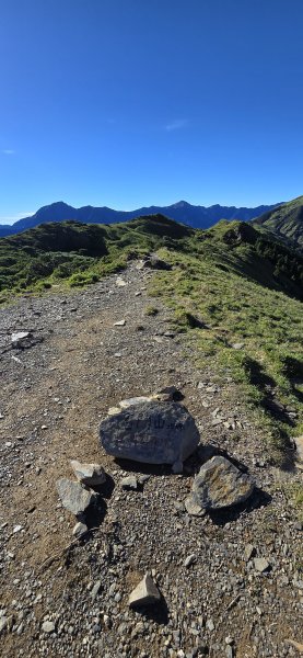 20250824 石門山+石門山北峰+哈哈山+哈哈山南峰2919459