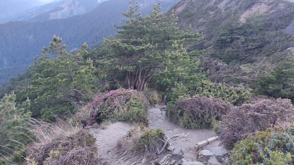 合歡山北峰1378004