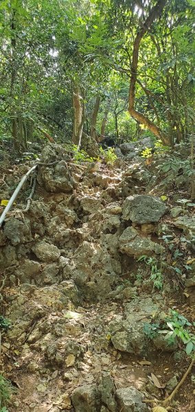 2021-07/14- 高雄鼓山區-壽山014封面