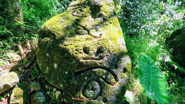 陽明山16草原之西線8草原2904061