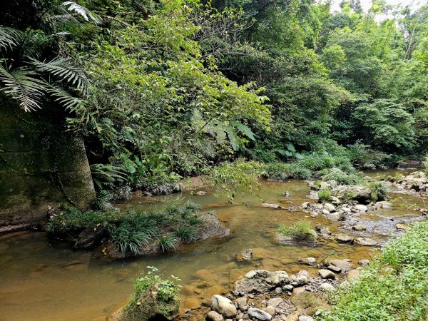 四寮溪生態步道-2025森遊竹縣皮皮獅探險隊2889109