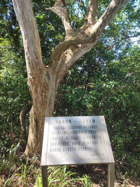 微笑山線：【天上山系】烘爐地土地公段2895757