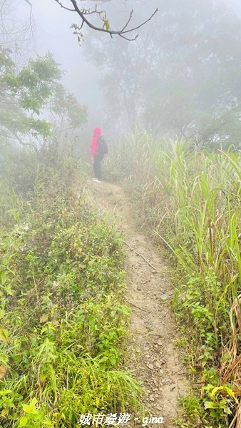 【台南。 南化】迷霧山徑。 小百岳集起來。 編號70小百岳~刣牛湖山登山步道1610482