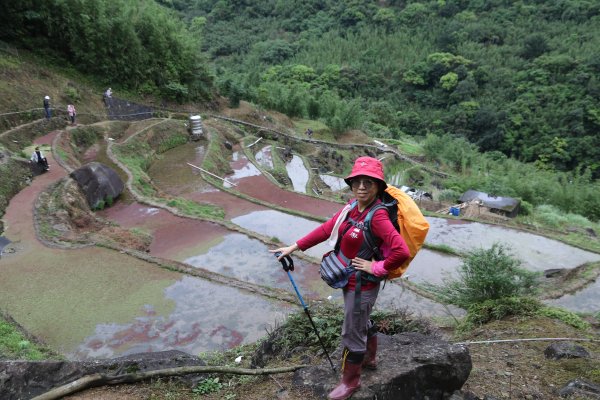 大崎頭梯田連走鵝尾山、瑪礁古道、竹篙山，順撿擎天崗山