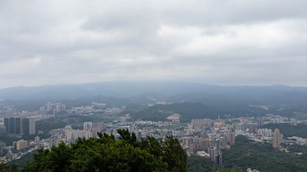 四分尾山,勤進路2515118