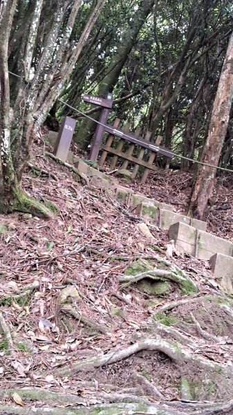 20230622 苗栗-雪見 東洗水山及北坑山 走走2193091