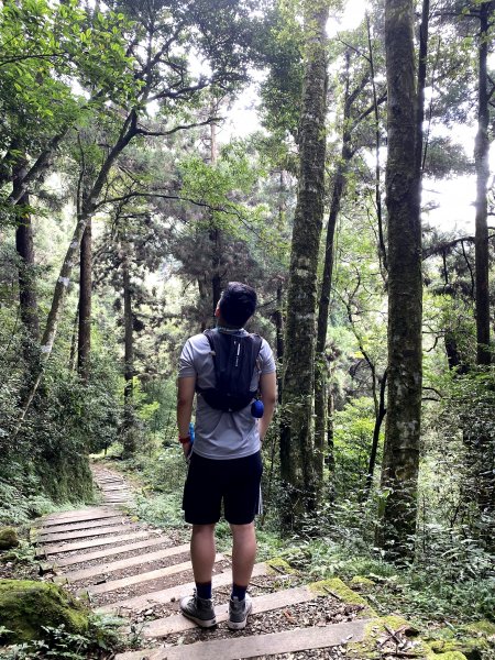 小百岳-嘉義大凍山1137837