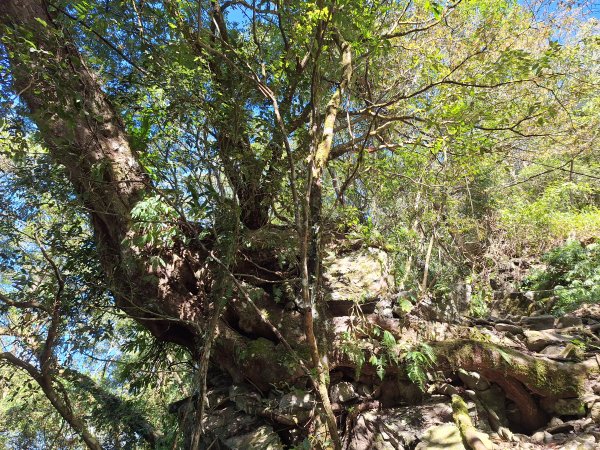 日湯真山202601042978580