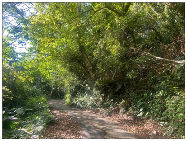 巴蜈縱走 (27.6K一日長征)2780285