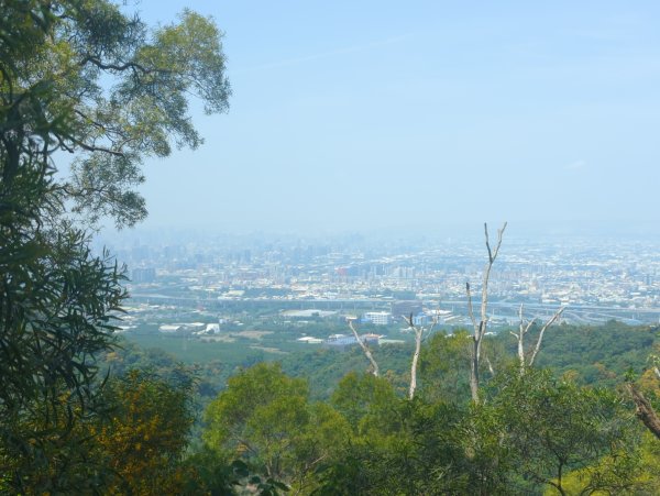 2026.05.02－聚興山步道3045922