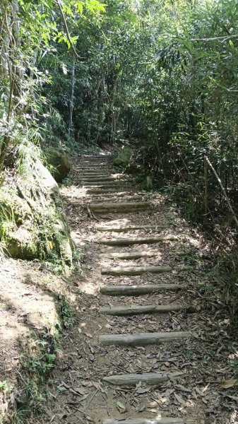 20251004 馬那邦山 - 珠湖 登山口2904918