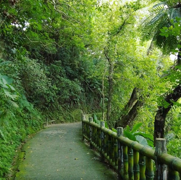 仙跡岩登山步道1502220