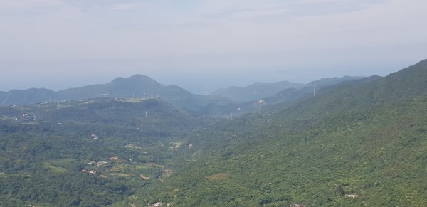 劍竹林步道-竹子湖頂湖環狀步道742580