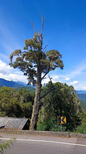 小百岳：卡拉寶山1814796